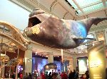 032_2009-0119-1309-27.jpg